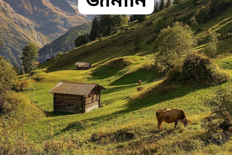 Germany Latest Work Permit Visa 2026: Complete Guide for International Workers